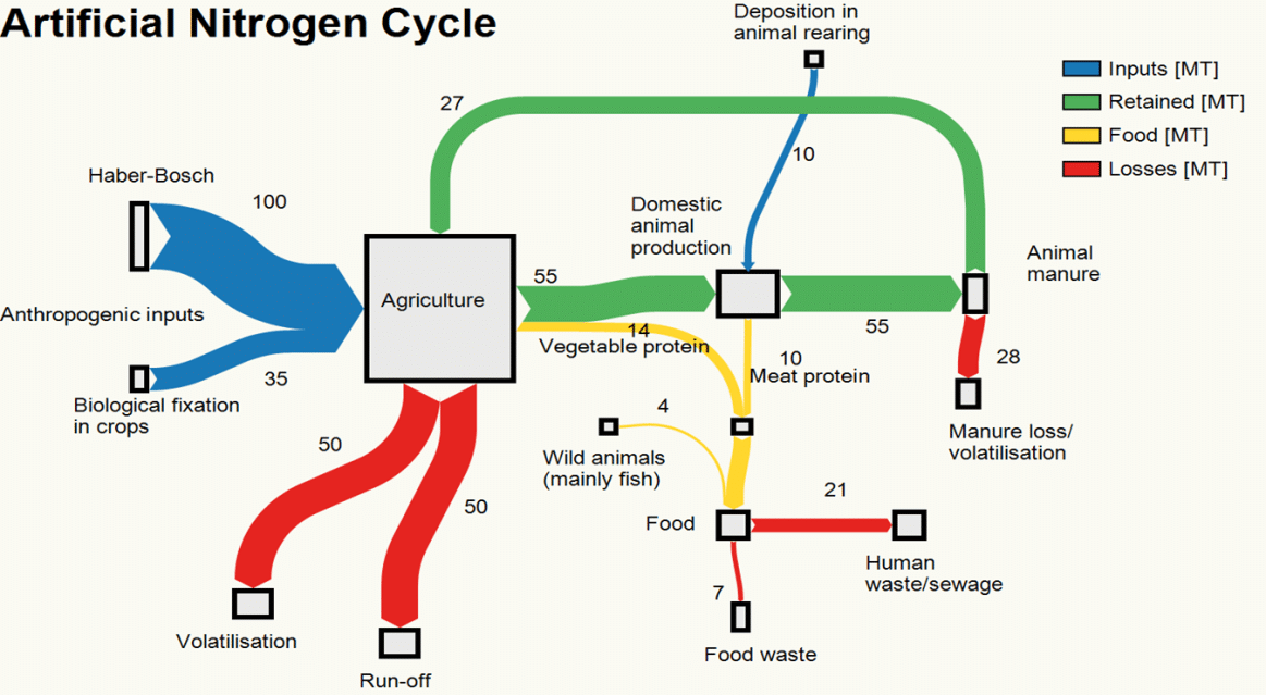The anthropogenic Nitrogen Cycle is extremely inefficient.